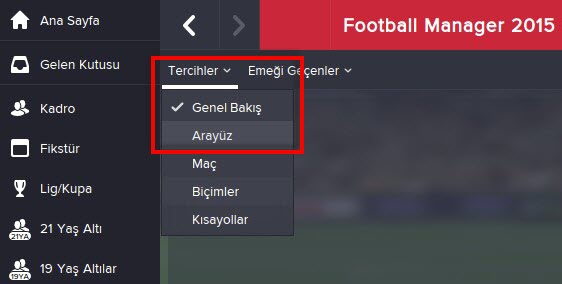 FM 2015 Arayüz