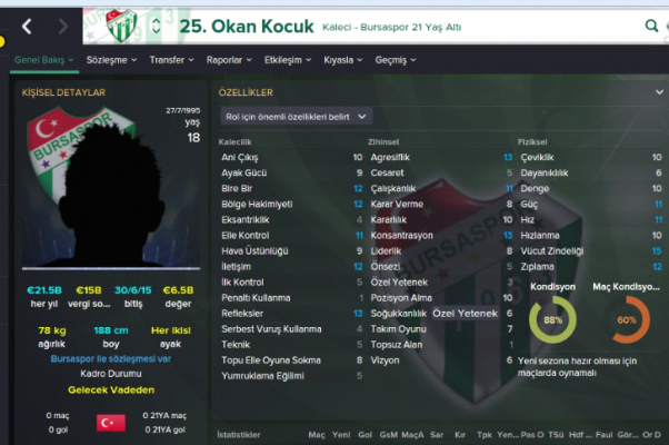 okankocuk_2014