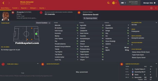 Shola-Ameobi-Fm2016