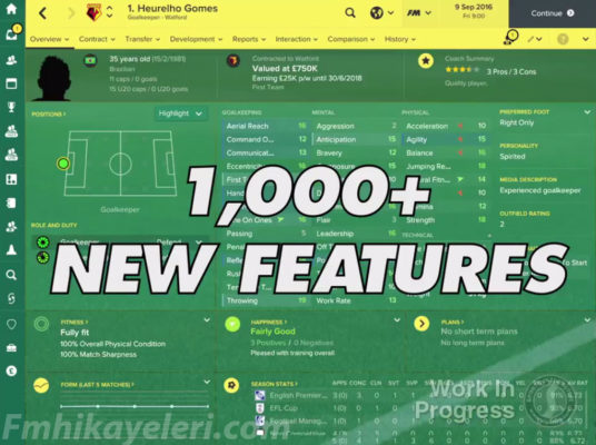 FM 2017 Oyuncu Profil Ekranı